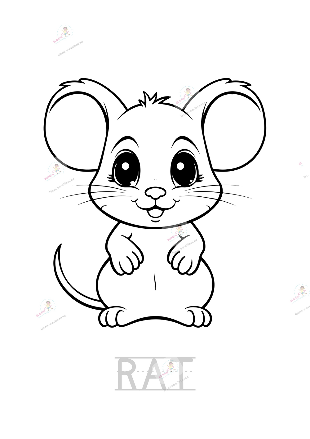 anim p2